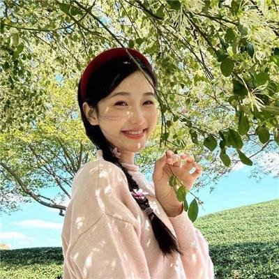 总统的夫人