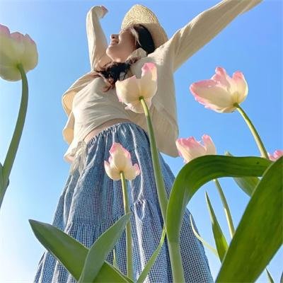 红楼梦第二部:黛玉葬花